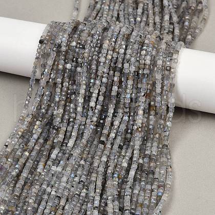 Natural Labradorite Beads Strands G-RM2025-C34-B-1