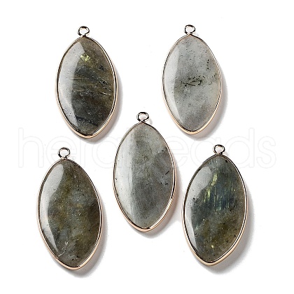 Natural Labradorite Pendants G-G063-03D-1