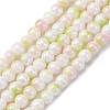 Pearlized Handmade Lampwork Beads Strands LAMP-R020-04D-1