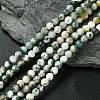 Natural Tree Agate Beads Strands G-K194-6mm-02-1