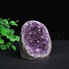 Natural Druzy Amethyst Ornament PW-WGCCCE0-01-4