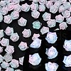 Luminous Resin Decoden Cabochons RESI-K036-47-1