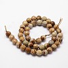 Natural Picture Jasper Beads Strands G-D840-47-10mm-2