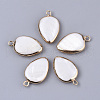 Edge Plated Freshwater Shell Pendants SHEL-S276-37-1