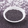 MIYUKI Round Rocailles Beads SEED-G007-RR0024-2
