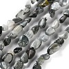 Natural Eagle Eye Stone Beads Strands G-P497-01C-52-1