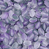 Frosted Glass Seed Beads SEED-N008-05I-3
