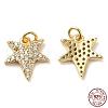 925 Sterling Silver Micro Pave Cubic Zirconia Charms STER-I010-36G-3