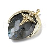 Natural Labradorite Pendants G-U019-01G-02-2