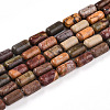Natural Picasso Jasper/Polychrome Jasper Beads Strands G-N346-01A-05-2