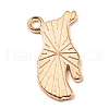 Alloy Enamel Pendants ENAM-G218-C02-2