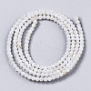 Natural Freshwater Shell Beads Strands BSHE-T009-01F-2