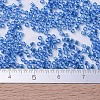 MIYUKI Delica Beads Small SEED-X0054-DBS0177-4