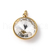 316 Stainless Steel Faceted Glass Pendants STAS-K258-46G-06-1