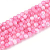Dyed Natural Trochid Shell/Trochus Shell Beads Strands SSHEL-T017-13E-1