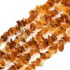 Natural Amber Chip Beads Strands G-E271-81-2