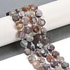 Natural Botswana Agate Beads Strands G-C116-A65-01-1