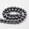 Shell Pearl Bead Strands X-BSHE-L025-05-12mm-2