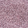 MIYUKI Delica Beads SEED-X0054-DB0256-3