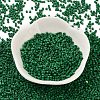 Baking Paint Glass Seed Beads X-SEED-S042-05B-66-2