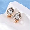 Alloy Silicone Clip-on Earrings EJEW-Z120-02G-02-3