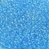 Transparent Colours Glass Round Seed Beads SEED-B001-06A-02-3