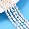 Natural Cultured Freshwater Pearl Beads Strands PEAR-N012-04M-1