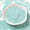 Baking Paint Glass Seed Beads SEED-P006-03A-29-2
