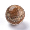 Natural Picture Jasper Beads G-L564-004-D01-2