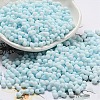 Macaron Color Opaque Frosted Glass Seed Beads X1-SEED-K009-12B-11-1