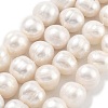 Natural Cultured Freshwater Pearl Beads Strands PEAR-C003-21A-2