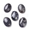 Natural Black Larvikite Cabochons X-G-Z020-10-1