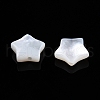 Natural White Shell Beads SSHEL-N032-54B-3