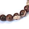 Natural Zebra Jasper Round Bead Strands G-E334-10mm-12-2