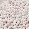 Baking Paint Glass Seed Beads SEED-F006-01A-14-3