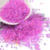 Glass Seed Beads SEED-XCP0001-28-1