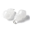 Natural Quartz Crystal Pendants G-C187-04I-2