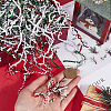 SOFPLATE 2 Sets 2 Colors Christmas Paper Shred Filler OCOR-SP0001-10-3