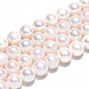 Natural Cultured Freshwater Pearl Beads Strands PEAR-N016-08B-2