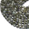 Natural Labradorite Beads Strands G-K389-A68-01-3
