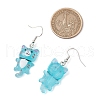 Iron Transparent Resin Cat Shape Dangle Earrings EJEW-JE06379-3