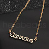 Twelve Constellations Stainless Steel Pendant Necklaces WG80545-10-1