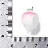 Resin Iron Pendants RESI-D280-13-3
