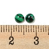 Synthetic Malachite Cabochons G-H309-03-02-3