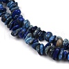 Natural Lapis Lazuli Beads Strands G-Q060-C04-4