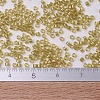 MIYUKI Delica Beads X-SEED-J020-DB0911-4