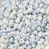 Baking Paint Glass Seed Beads X1-SEED-F006-01A-02-3