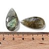 Natural Labradorite Faceted Pendants G-D082-01B-3