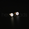 304 Stainless Steel Flat Round Stud Earrings HE4453-1-1