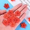 Transparent Acrylic Beads MACR-S373-116-D09-5